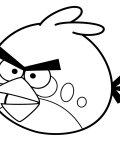 Angry Birds online omalovánky pro kluky