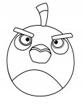 Angry Birds dětské online omalovánky