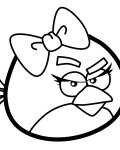 Angry Birds omalovánky k vytisknutí