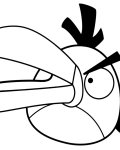 Angry Birds dětské omalovánky zdarma