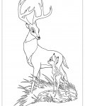 Bambi online omalovánky pro dívky