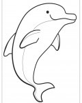 Delfíni online omalovánky pro kluky