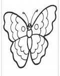 Motýli omalovánky pro nejmenší zdarma