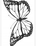 Motýli online omalovánky pro kluky