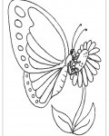 Motýli omalovánky pro děti k vytisknutí