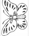 Motýli omalovánky pro nejmenší k vytisknutí